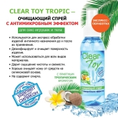 Очищающий спрей для игрушек CLEAR TOY Tropic - 100 мл. - Биоритм - купить с доставкой в Улан-Удэ