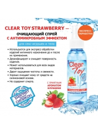 Очищающий спрей для игрушек CLEAR TOY Strawberry - 100 мл. - Биоритм - купить с доставкой в Улан-Удэ