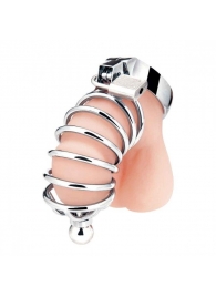 Серебристая клетка для члена Urethral Play Cage - BlueLine - купить с доставкой в Улан-Удэ