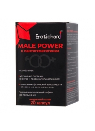 Капсулы для мужчин Erotichard male power с пантогематогеном - 20 капсул (0,370 гр.) - Erotic Hard - купить с доставкой в Улан-Удэ