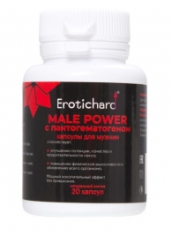 Капсулы для мужчин Erotichard male power с пантогематогеном - 20 капсул (0,370 гр.) - Erotic Hard - купить с доставкой в Улан-Удэ