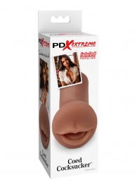 Мастурбатор-ротик Coed Cocksucker - Pipedream - в Улан-Удэ купить с доставкой