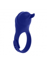 Синее эрекционное виброкольцо с клиторальной подушечкой и пультом ДУ Adjustable Fun Ring - Zero Tolerance - в Улан-Удэ купить с доставкой