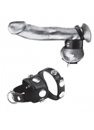 Утяжка для мошонки и пениса Cock Ring With 1  Ball Stretcher And Optional Weight Ring - BlueLine - купить с доставкой в Улан-Удэ