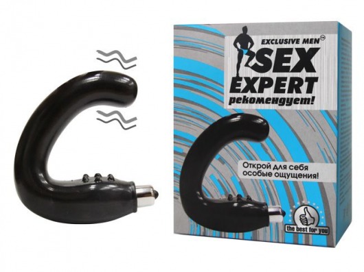 Чёрный массажёр простаты серии Sex Expert - Sex Expert - в Улан-Удэ купить с доставкой