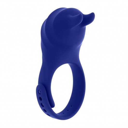 Синее эрекционное виброкольцо с клиторальной подушечкой и пультом ДУ Adjustable Fun Ring - Zero Tolerance - в Улан-Удэ купить с доставкой